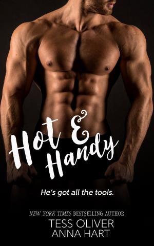 Cover of the book Hot & Handy by C. A. Knoble