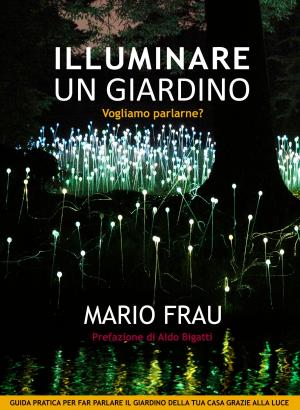 Book cover of ILLUMINARE UN GIARDINO