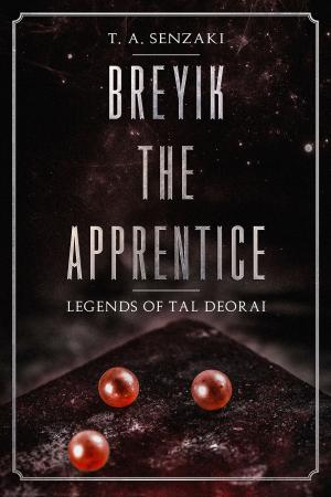 Cover of the book Breyik the Apprentice by Aidan Hennessy