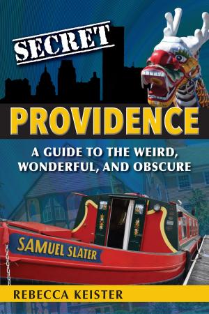 Cover of the book Secret Providence by Carrie Kim