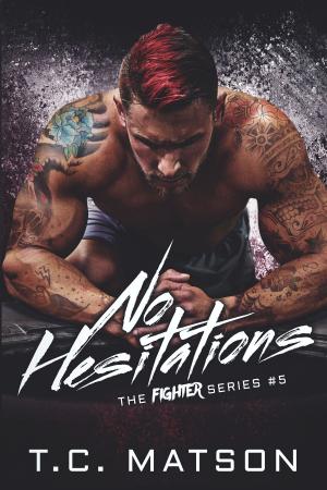 Book cover of No Hesitations