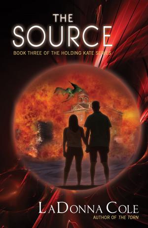 Cover of the book The Source by J.W. Garrett