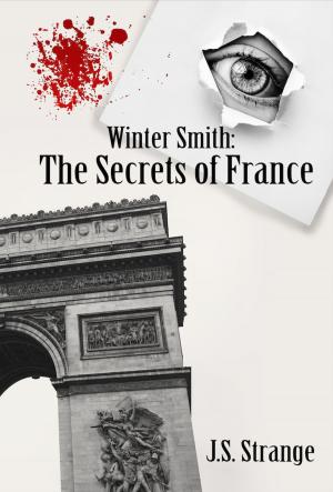 Cover of the book Winter Smith: The Secrets of France by M L Eaton