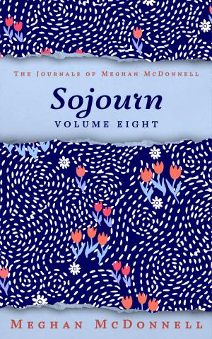 Cover of the book Sojourn by Linda Walls