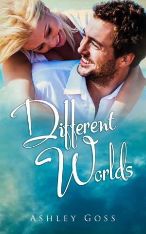 Cover of the book Different Worlds by Richard Heket