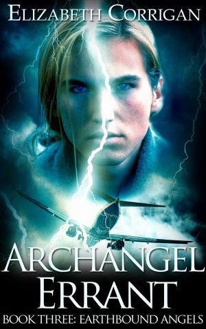 Cover of the book Archangel Errant by Michael Meyerhofer