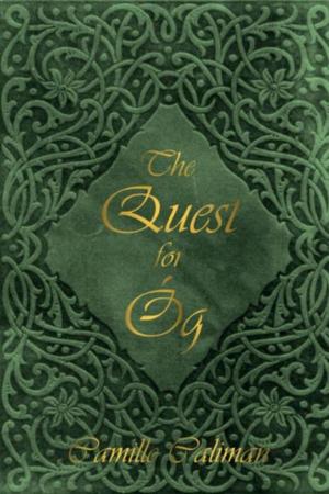 Book cover of The Quest for Óg