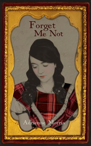 Cover of the book Forget Me Not by Geronimo, S.M. Barrett
