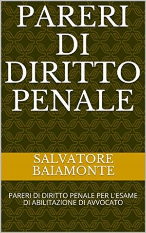 Cover of PARERI DI DIRITTO PENALE: PARERI DI DIRITTO PENALE PER L'ESAME DI ABILITAZIONE DI AVVOCATO