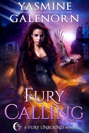 Cover of the book Fury Calling by Tessy Treas