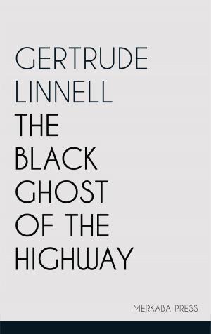 Cover of the book The Black Ghost of the Highway by SJ Watson