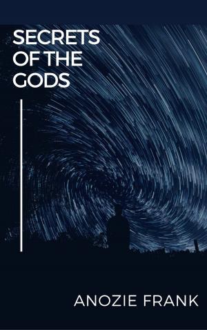 Cover of the book Secrets of the Gods by Dapo Akande