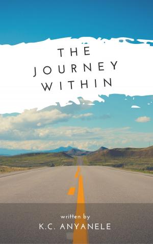 Cover of the book The Journey Within by Abdulkabir Olatunji