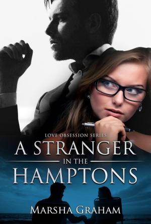 Cover of the book A Stranger in the Hamptons by scott wellinger