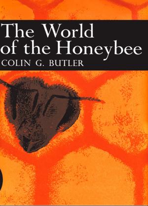 bigCover of the book The World of the Honeybee (Collins New Naturalist Library, Book 29) by 