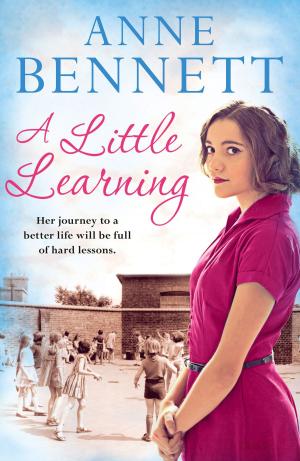Cover of the book A Little Learning by Fern Britton