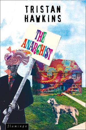 Cover of the book The Anarchist by Stacy Gregg
