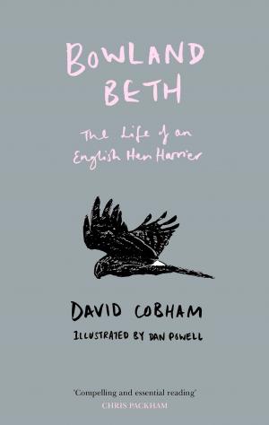 Cover of the book Bowland Beth: The Life of an English Hen Harrier by Alison Gordon
