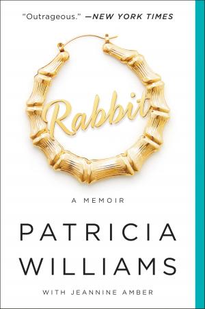 Book cover of Rabbit