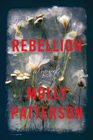 Cover of the book Rebellion by Heather Barbieri
