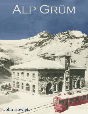 Book cover of Alp Grüm