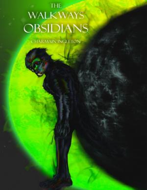 Cover of the book The Walkways Obsidians by Christopher Day