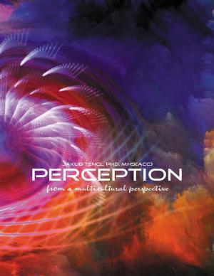 Cover of the book Perception from a Multicultural Perspective by John Strickland