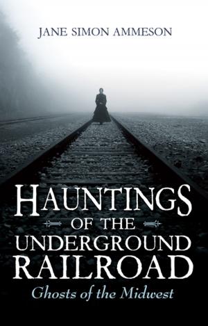Cover of the book Hauntings of the Underground Railroad by ANASTASIYA ASTAPOVA, Tsafi Sebba-Elran, Elliott Oring, Dan Ben-Amos, Larisa Privalskaya, Ilze Akerbergs