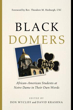 Cover of the book Black Domers by Christopher M. Graney