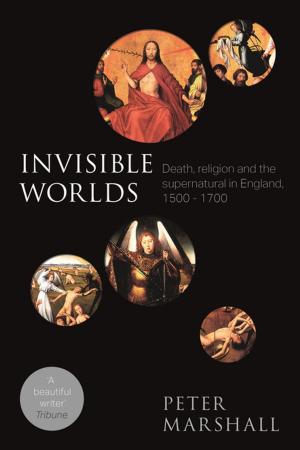 Cover of the book Invisible Worlds by Tim Stead