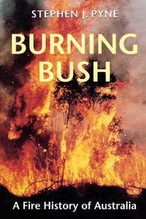 Book cover of Burning Bush