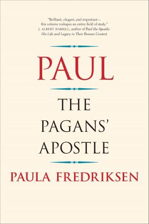 Cover of the book Paul by Levi Roach