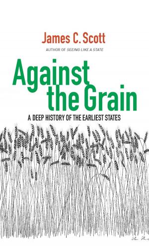 Cover of the book Against the Grain by Polly Jones