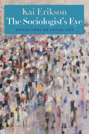 Cover of the book The Sociologist's Eye by Noel Carroll