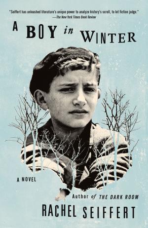 Cover of the book A Boy in Winter by Martin Duberman