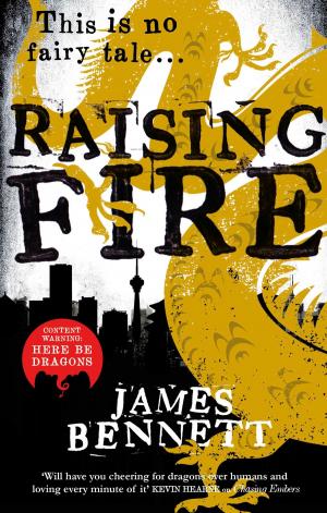 Cover of the book Raising Fire by Adam Brookes