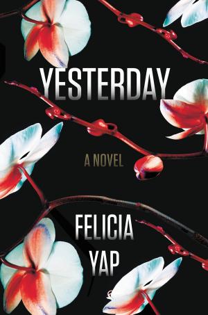 Cover of the book Yesterday by Kate Braestrup
