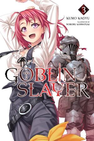 Cover of the book Goblin Slayer, Vol. 3 (light novel) by Homura Kawamoto, Toru Naomura