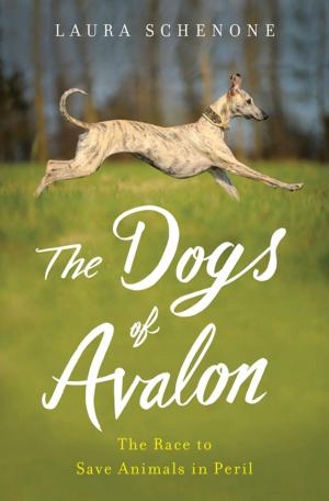 Cover of the book The Dogs of Avalon: The Race to Save Animals in Peril by Adrienne Rich
