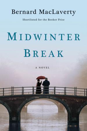 Cover of the book Midwinter Break: A Novel by Casey Harvell