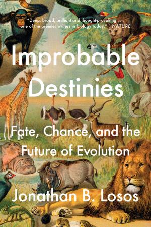 Cover of the book Improbable Destinies by Ake Edwardson