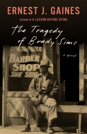 Cover of the book The Tragedy of Brady Sims by Colie Long
