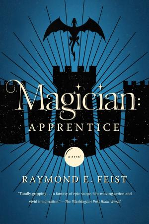 Cover of the book Magician: Apprentice by Linda Cajio