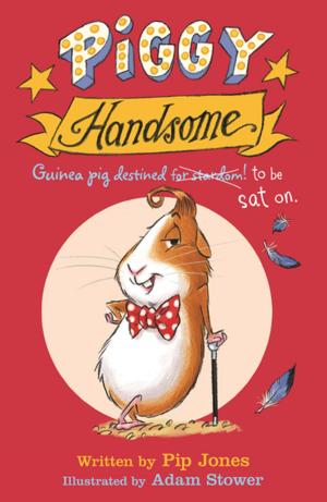 Book cover of Piggy Handsome