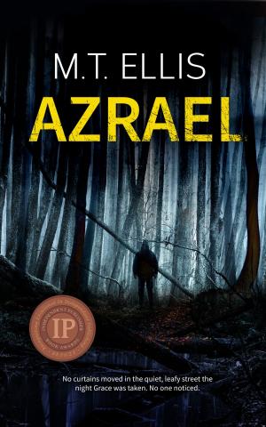 Cover of the book Azrael by Edward M Wolfe