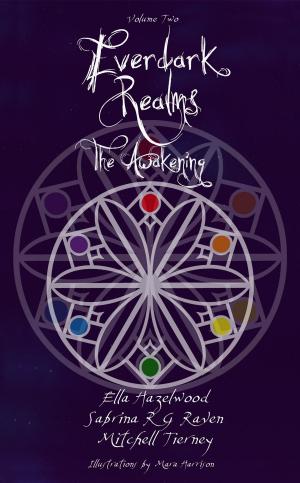 Book cover of Everdark Realms