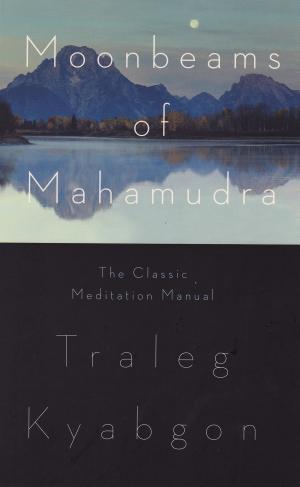 Cover of the book Moonbeams of Mahamudra by Richard Martini