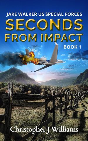 Cover of the book Seconds from Impact by Jessica Grace Coleman