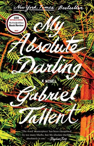 Cover of the book My Absolute Darling by Tate Hallaway