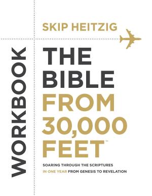 Cover of the book The Bible from 30,000 Feet™ Workbook by Wynter Pitts